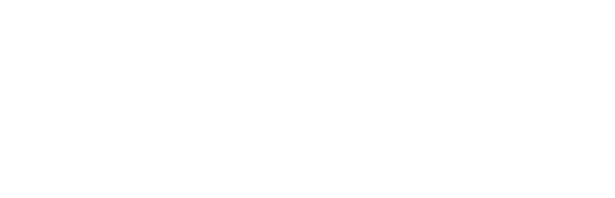 Company Formation Mauritius